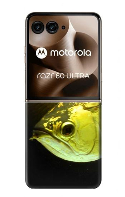 S1021 Gold Arowana Fish Case For Motorola Razr 60 Ultra, Razr Ultra 2025