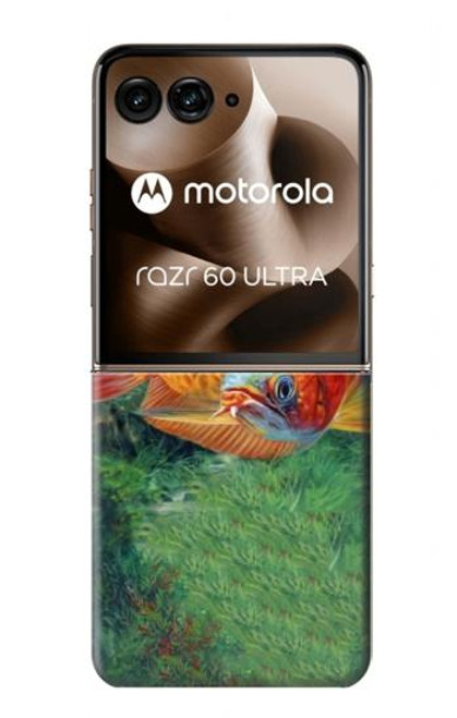 S1157 Red Arowana Fish Case For Motorola Razr 60 Ultra, Razr Ultra 2025
