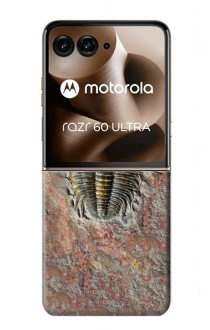 S1454 Trilobite Fossil Case For Motorola Razr 60 Ultra, Razr Ultra 2025