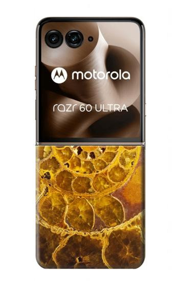 S1789 Ammonite Fossils Case For Motorola Razr 70 Ultra, 60 Ultra, 50 Ultra, Ultra 2026, Ultra 2025