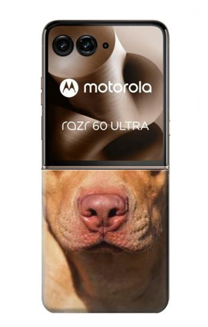 S2903 American Pitbull Dog Case For Motorola Razr 60 Ultra, Razr Ultra 2025