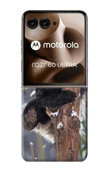 S3793 Cute Baby Panda Snow Painting Case For Motorola Razr 70 Ultra, 60 Ultra, 50 Ultra, Ultra 2026, Ultra 2025