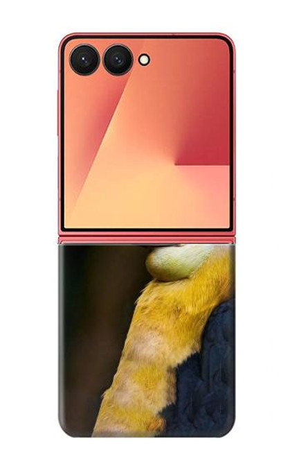 S3876 Colorful Hornbill Case For Samsung Galaxy Z Flip 7