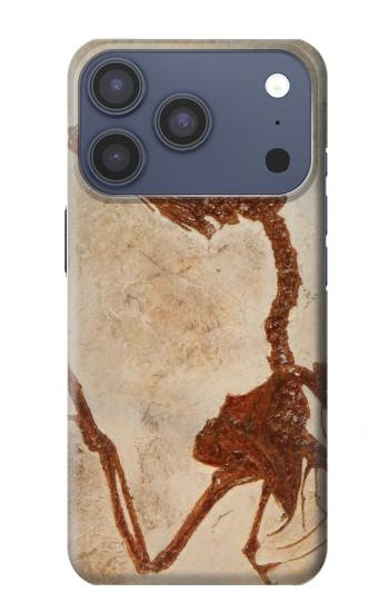 S0379 Dinosaur Fossil Case For iPhone 17 Pro, 18 Pro