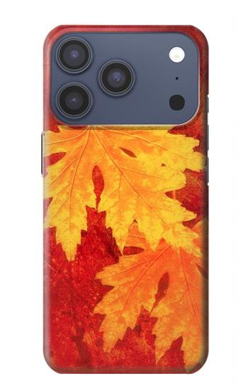 S0479 Maple Leaf Case For iPhone 17 Pro