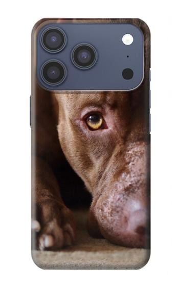 S0519 PitBull Face Case For iPhone 17 Pro