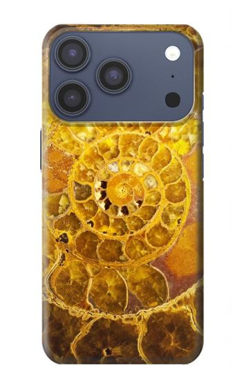 S1789 Ammonite Fossils Case For iPhone 17 Pro, 18 Pro