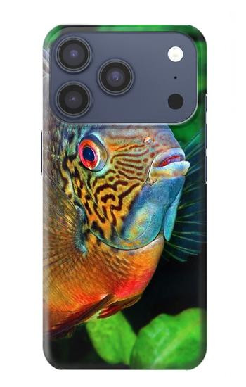 S1812 Cichlid Fish Case For iPhone 17 Pro, 18 Pro
