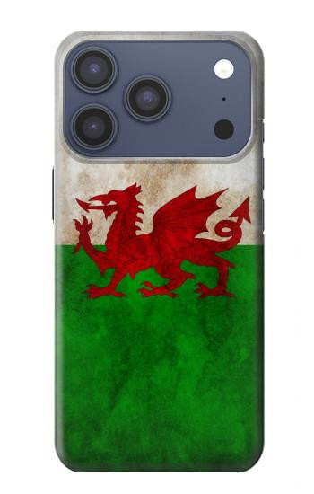 S2976 Wales Football Soccer Flag Case For iPhone 17 Pro, 18 Pro