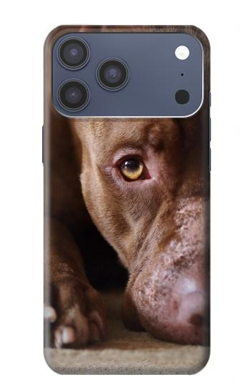 S0519 PitBull Face Case For iPhone 17 Pro Max, 18 Pro Max