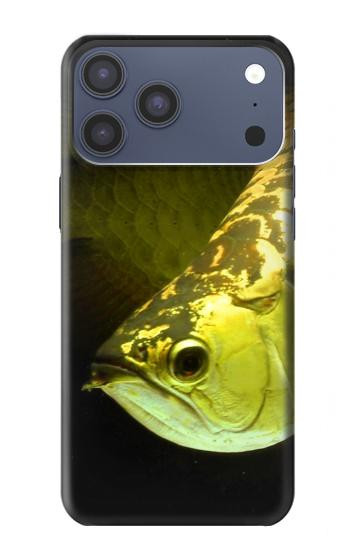 S1021 Gold Arowana Fish Case For iPhone 17 Pro Max, 18 Pro Max