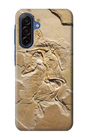 S0380 Dinosaur Fossil Case For Samsung Galaxy A17, A18
