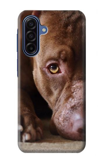 S0519 PitBull Face Case For Samsung Galaxy A17, A18