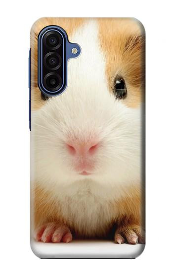 S1619 Cute Guinea Pig Case For Samsung Galaxy A17, A18
