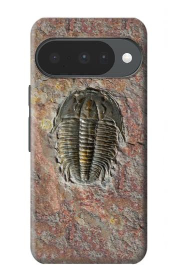 S1454 Trilobite Fossil Case For Google Pixel 10, 10 Pro