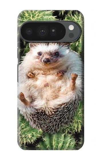 S3863 Pygmy Hedgehog Dwarf Hedgehog Paint Case For Google Pixel 10 Pro XL