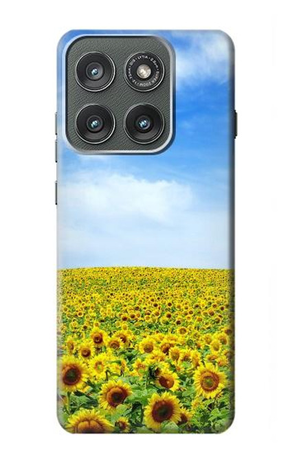 S0232 Sunflower Case For Motorola Edge (2025)
