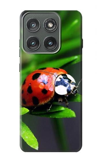 S0263 Ladybug Case For Motorola Edge (2025)