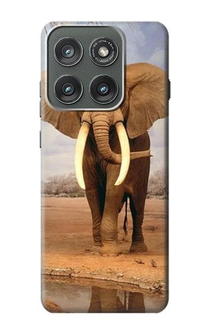 S0310 African Elephant Case For Motorola Edge (2025)