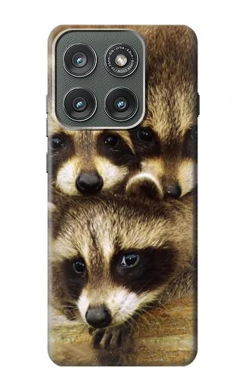 S0977 Baby Raccoons Case For Motorola Edge (2025)