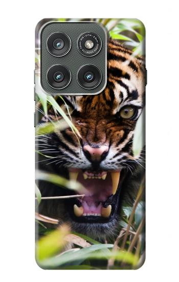 S3838 Barking Bengal Tiger Case For Motorola Edge (2025)