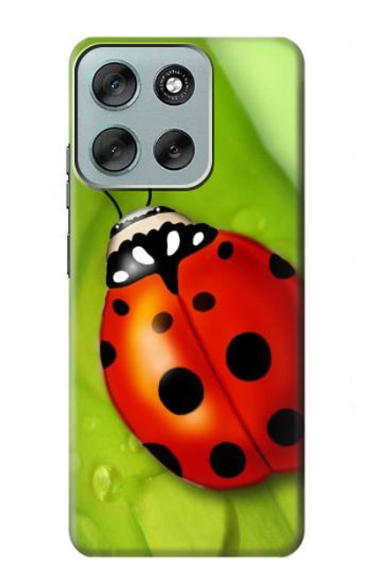 S0892 Ladybug Case For Motorola Moto G56 S0892 Ladybug Case For Motorola Moto G56