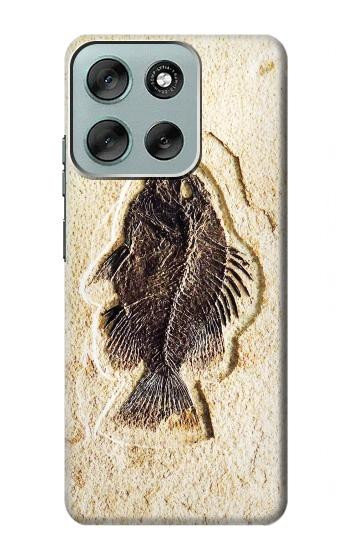 S2562 Fossil Fish Case For Motorola Moto G56
