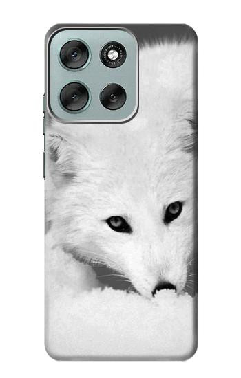S2569 White Arctic Fox Case For Motorola Moto G56