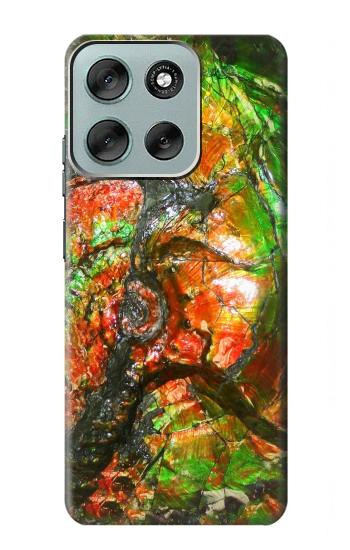 S2694 Ammonite Fossil Case For Motorola Moto G56