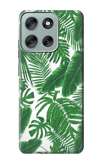 S3457 Paper Palm Monstera Case For Motorola Moto G56