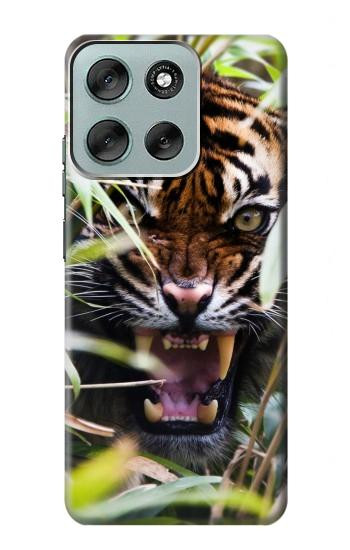 S3838 Barking Bengal Tiger Case For Motorola Moto G56