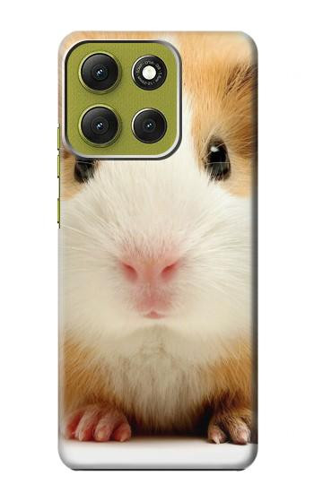 S1619 Cute Guinea Pig Case For Motorola Moto G86