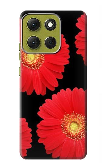 S2478 Red Daisy flower Case For Motorola Moto G86