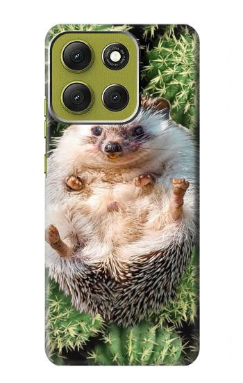 S3863 Pygmy Hedgehog Dwarf Hedgehog Paint Case For Motorola Moto G86