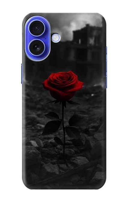S4048 Red Rose Ruins Case For iPhone 16