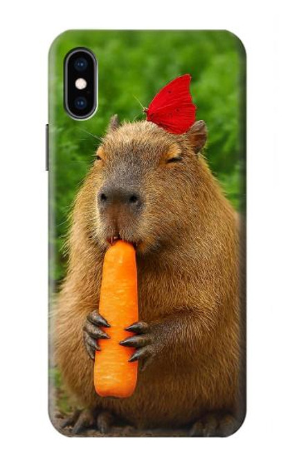 S4068 Capybara Butterfly Case For iPhone X, iPhone XS
