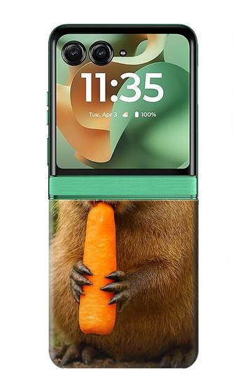 S4068 Capybara Butterfly Case For Motorola Razr 70+,60+, Razr+ (2026, 2025, 2024)