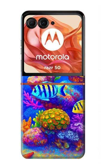 S4058 Colorful Aquarium Case For Motorola Razr 70,60,50, Razr (2026, 2025, 2024)