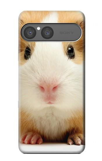 S1619 Cute Guinea Pig Case For Sony Xperia 10 VII, 10 VIII