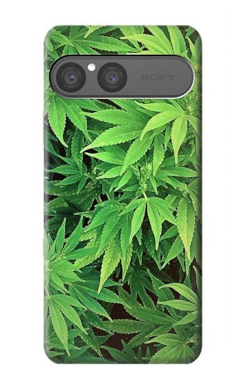 S1656 Marijuana Plant Case For Sony Xperia 10 VII