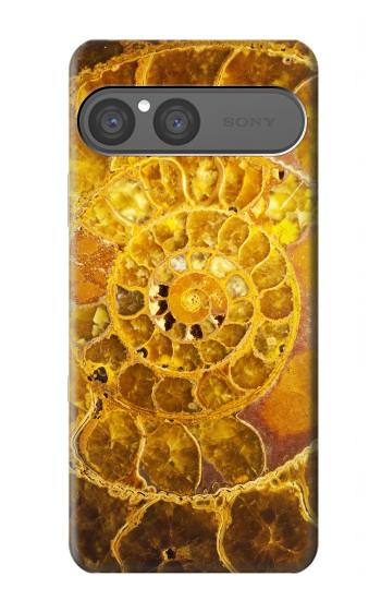 S1789 Ammonite Fossils Case For Sony Xperia 10 VII, 10 VIII