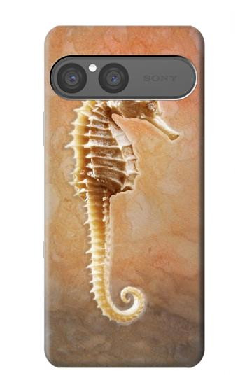 S2674 Seahorse Skeleton Fossil Case For Sony Xperia 10 VII, 10 VIII