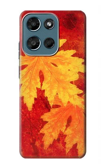 S0479 Maple Leaf Case For Motorola Moto G (2026), G Play (2026)