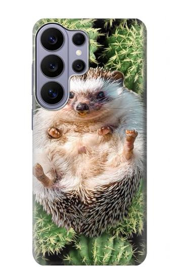 S3863 Pygmy Hedgehog Dwarf Hedgehog Paint Case For Samsung Galaxy S26 Ultra