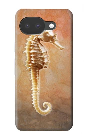 S2674 Seahorse Skeleton Fossil Case For Google Pixel 10a