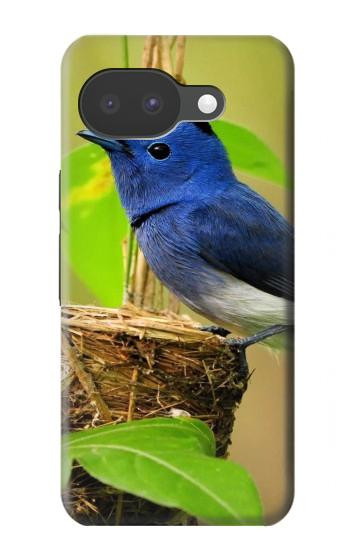 S3839 Bluebird of Happiness Blue Bird Case For Google Pixel 10a
