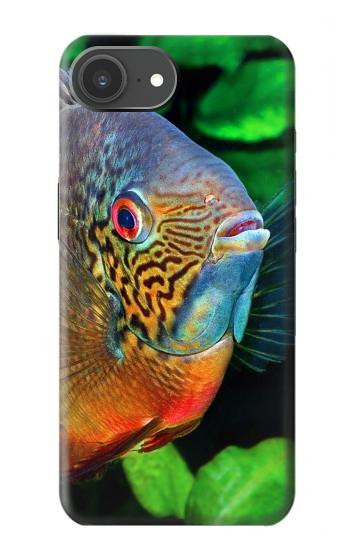 S1812 Cichlid Fish Case For iPhone 17e