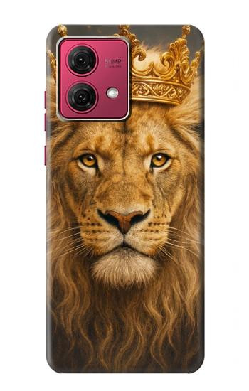 S4093 Royal Lion Portrait Artwork Case For Motorola Moto G84