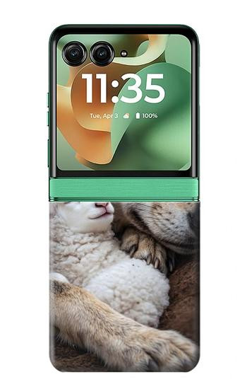 S4089 Gentle Wolf And Lamb Friendship Art Case For Motorola Razr 70+,60+, Razr+ (2026, 2025, 2024)