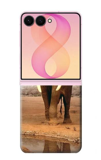 S0310 African Elephant Case For Samsung Galaxy Z Flip 8